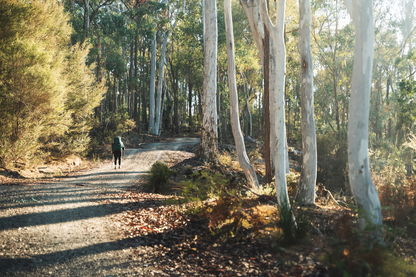 Hume & Hovell Multi-Day Hike | Woomargama National Park | 41km