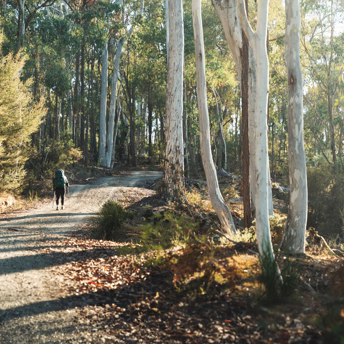 Hume & Hovell Multi-Day Hike | Woomargama National Park | 41km