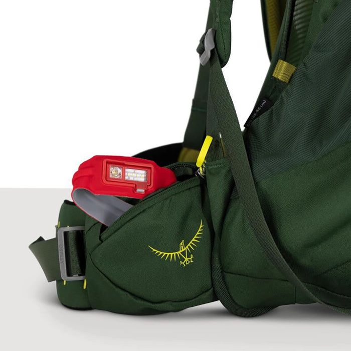Osprey Ace 50 - Kid's Hiking Backpack - Green Canopy/Matcha Green Details 6