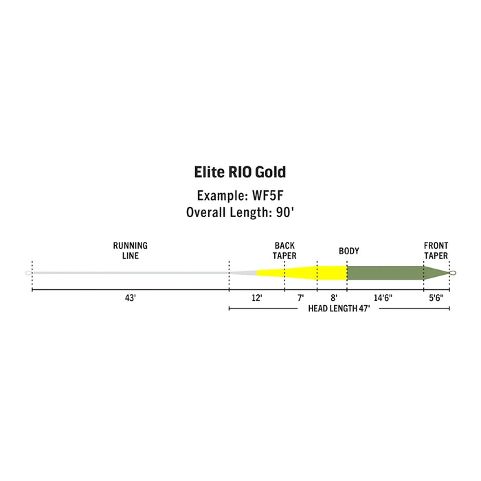 Rio Elite Gold Freshwater Fly Line