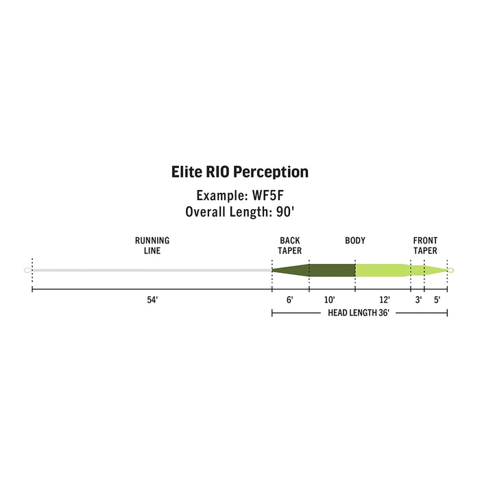 Rio Elite Perception Freshwater Fly Line - Details 1