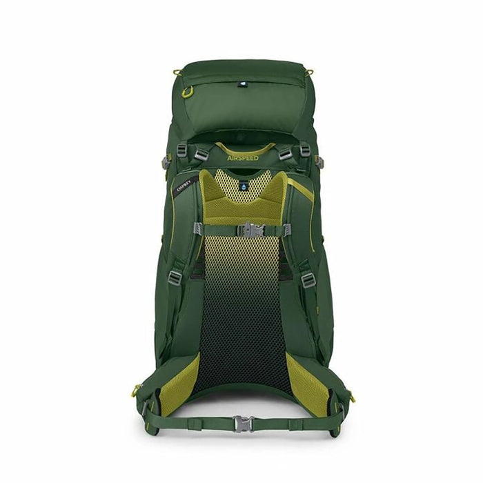 Osprey Ace 50 - Kid's Hiking Backpack - Green Canopy/Matcha Green Details 3