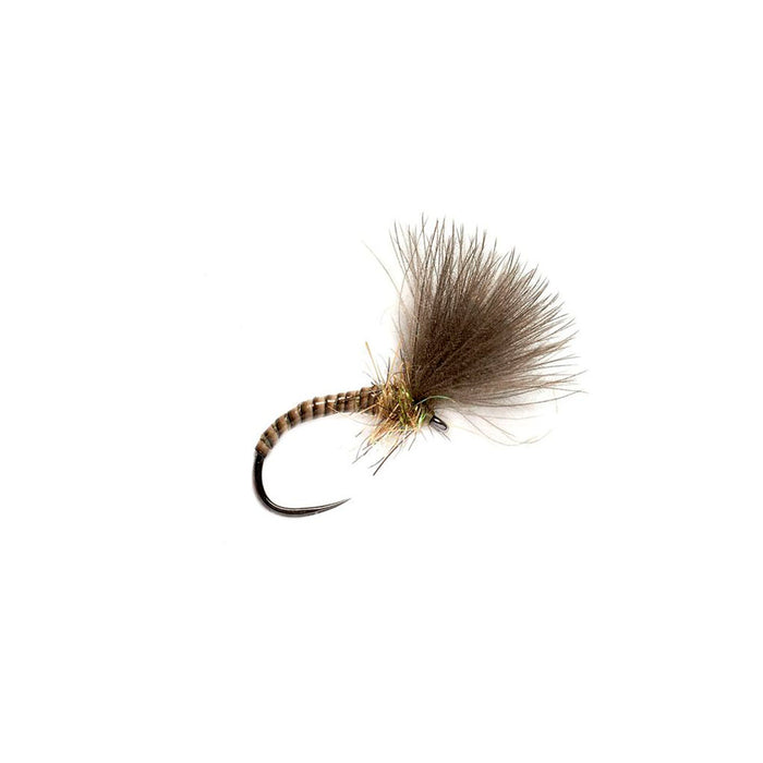 Fulling Mill Quill CdC Emerger Natural Barbless Dry Fly — Tom's Outdoors